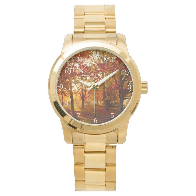 Morning sunlight through red maple trees watch (Front)