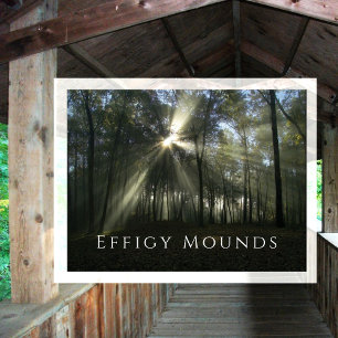 Morning Sunlight through Trees, Effigy Mounds, IA Postcard