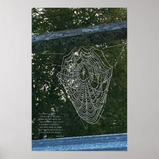 Morning Surprise, A Dew-Covered Spider Web Poster