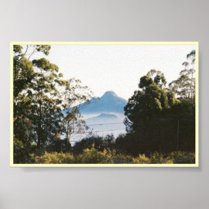Morning View Poster
