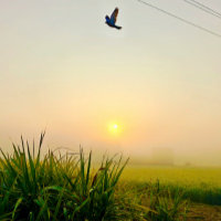morning village view