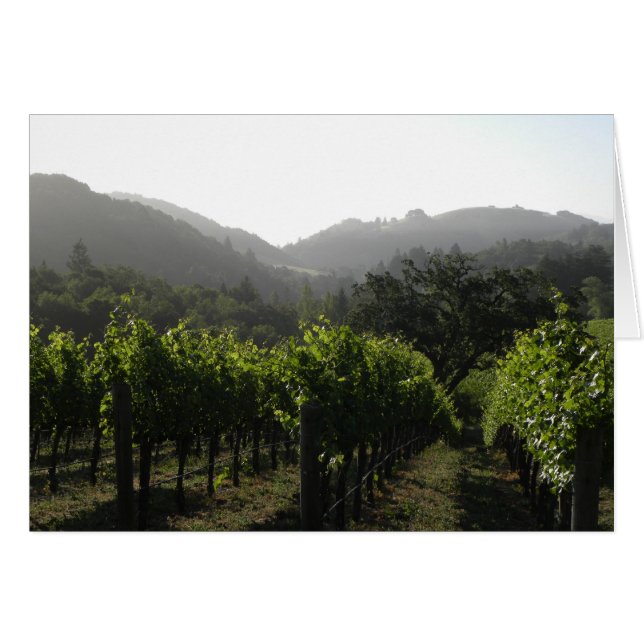 Morning vineyard forest (Front Horizontal)