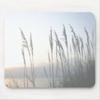 Morning Whisper