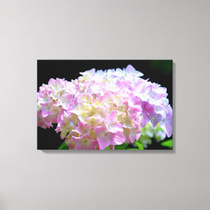 Morning Whisper -purple Hydrangea Canvas Print