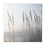 Morning Whisper Tile<br><div class="desc">Morning Whisper II by Sharon Chandler.</div>