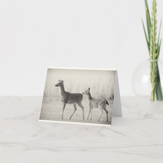 Morning Whitetails Card (Front)