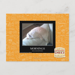 Mornings Postcard