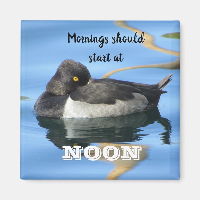Mornings Should Start Noon Sleepy Black White Duck Magnet (Front)