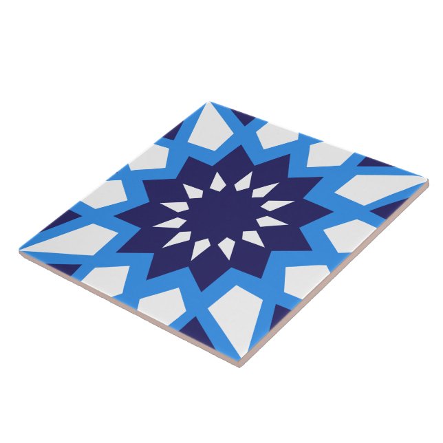 Moroccan Blue And White Pattern Ceramic Tile (Side)