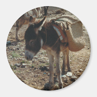 Moroccan Mule Magnet