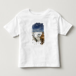 MOROCCO, Atlantic Coast, ESSAOUIRA: High Vantage Toddler T-Shirt