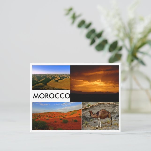 Morocco Landscape 2 Postcard (Standing Front)