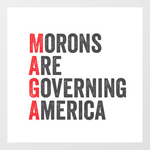 Morons Are Governing America 4th of July 