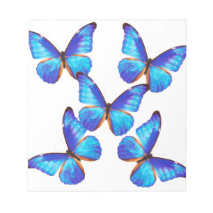 “Morpho Butterfly”の優良製品 Notepad
