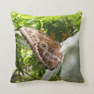 Morpho Butterfly Cushion