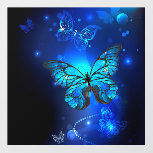 Morpho Butterfly in the Dark Background