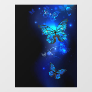 Morpho Butterfly in the Dark Background
