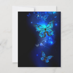 Morpho Butterfly in the Dark Background Announcement