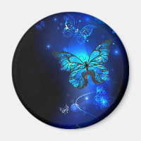 Morpho Butterfly in the Dark Background