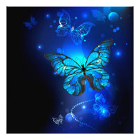 Morpho Butterfly in the Dark Background