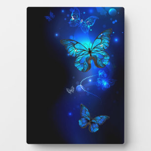 Morpho Butterfly in the Dark Background Plaque