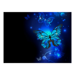 Morpho Butterfly in the Dark Background Poster