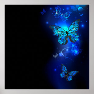Morpho Butterfly in the Dark Background Poster
