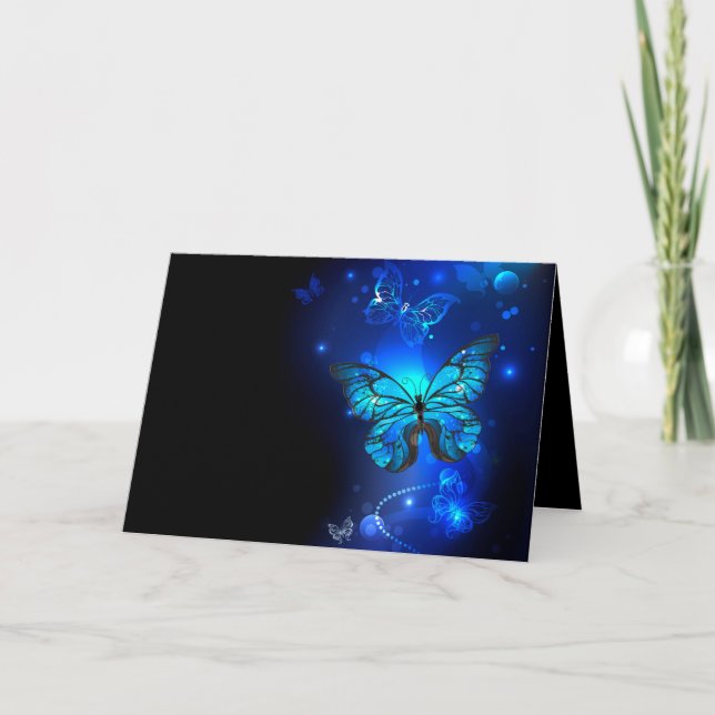 Morpho Butterfly in the Dark Background Programme (Front)