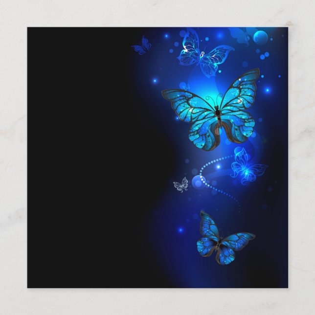 Morpho Butterfly in the Dark Background Programme (Front)