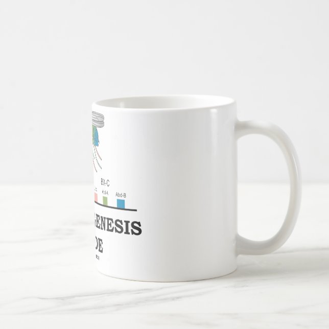 Morphogenesis Inside (Fruit Fly Drosophila Genes) Coffee Mug (Right)