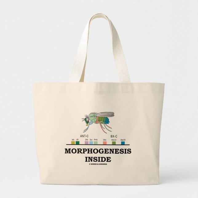 Morphogenesis Inside (Fruit Fly Drosophila Genes) Large Tote Bag (Front)