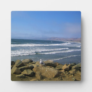 Morro Bay, California Plaque