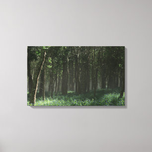 Morrow Grove (Spring) Canvas Print