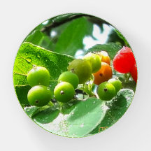 Morrow's Honeysuckle Berries Paperweight