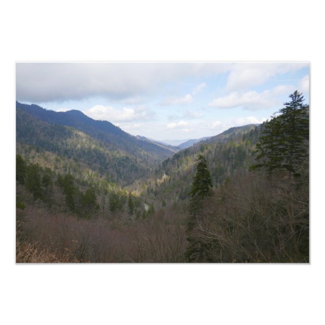 Morton Overlook at Great Smoky Mountains Photo Print (Front)