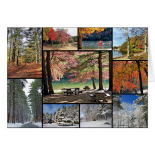 Morton Park Plymouth MA