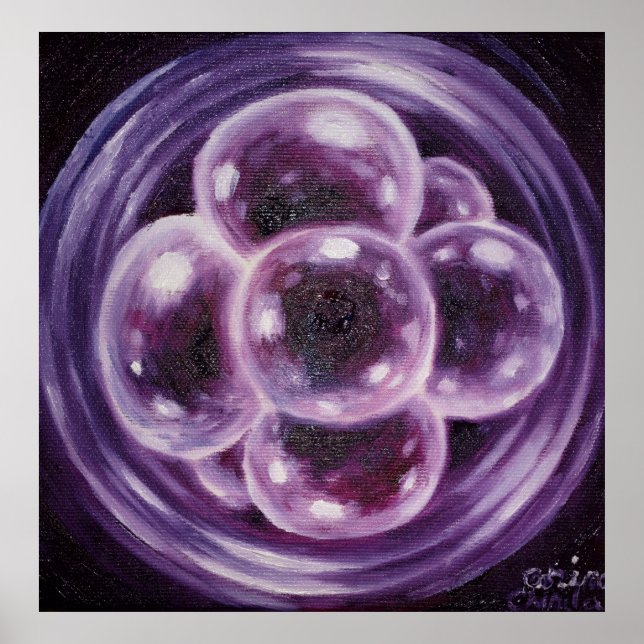 Morula Poster (Front)