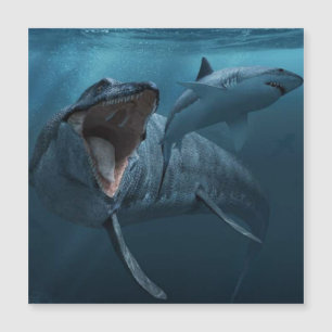 Mosasaurus chasing shark photography