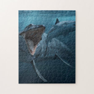 Mosasaurus chasing shark poster acrylic print jigsaw puzzle