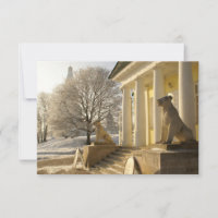 Moscow. Winter. lion sculpture.