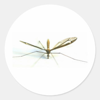 mosquito classic round sticker
