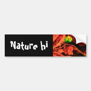 mosquito explorer bumper sticker