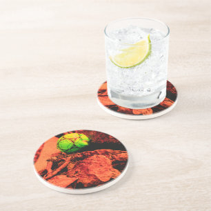 mosquito explorer coaster