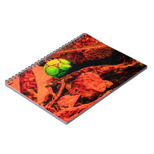 mosquito explorer notebook