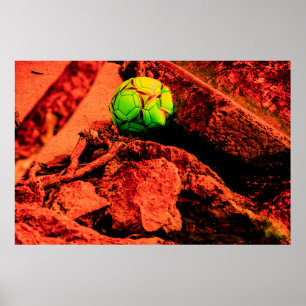 mosquito explorer poster