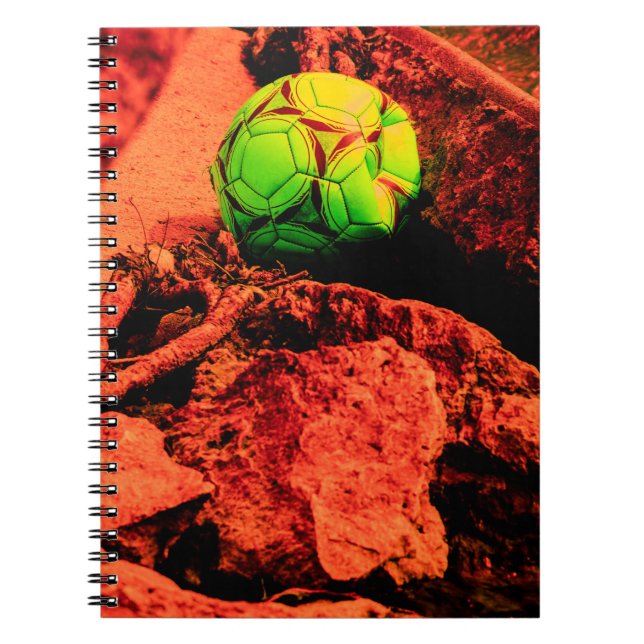 mosquito explorer spiral notebook (Front)