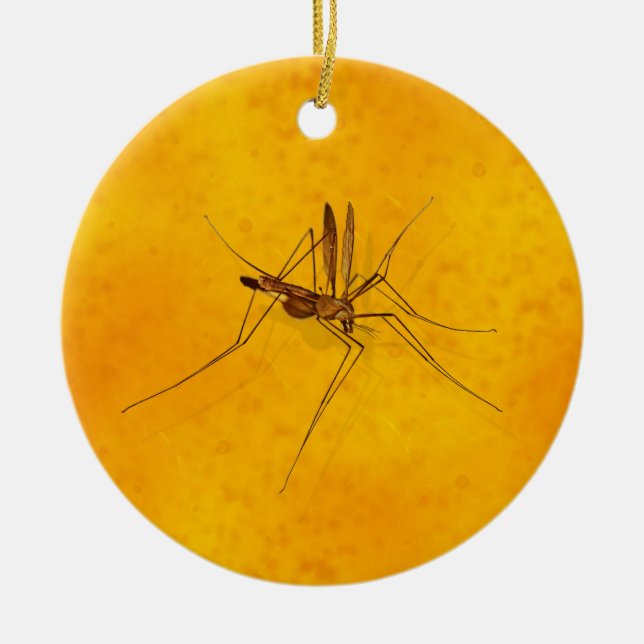 Mosquito in Amber Sap Fossil Replica Prehistoric Ceramic Tree Decoration (Front)
