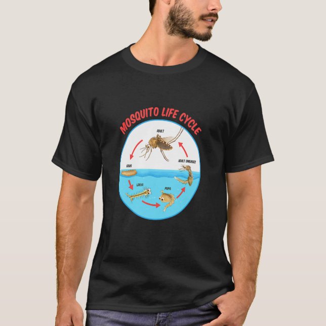Mosquito life cycle T-Shirt (Front)