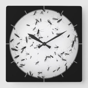 Mosquitos Square Wall Clock