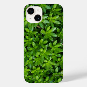Moss Abstract iPhone Case